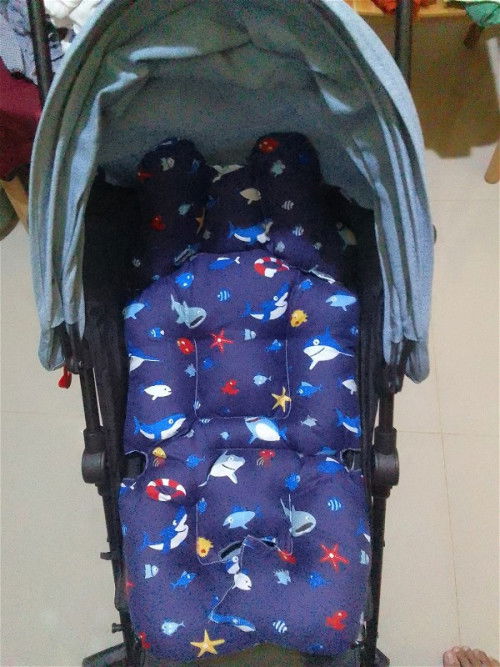 Dijual Stroller Dax Buggy + Alas