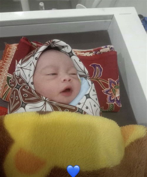 Hpl 11september launcing 31agustus