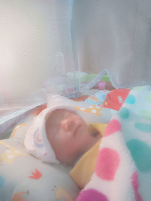 Hpl 27september lquncing 28 agustus