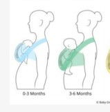 Posisi tulang belakang