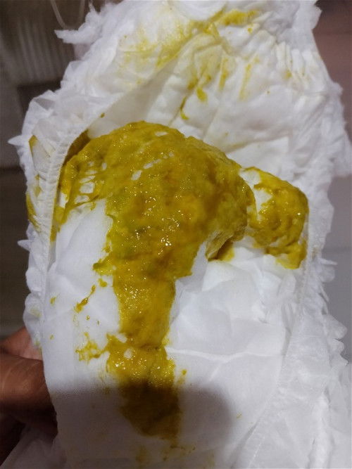 pup bayi warna hijau