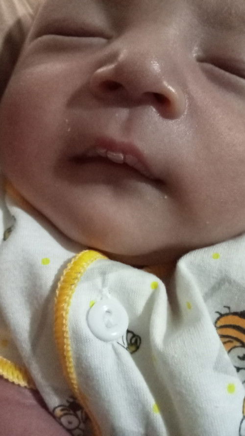 Bayi baru umur 14 hari