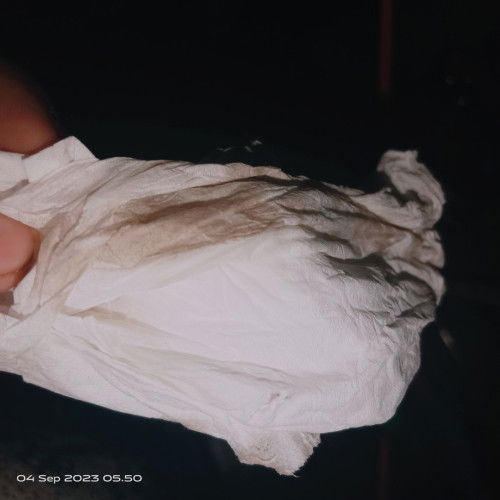 Maap bunda mau tanya
HPL 8 September