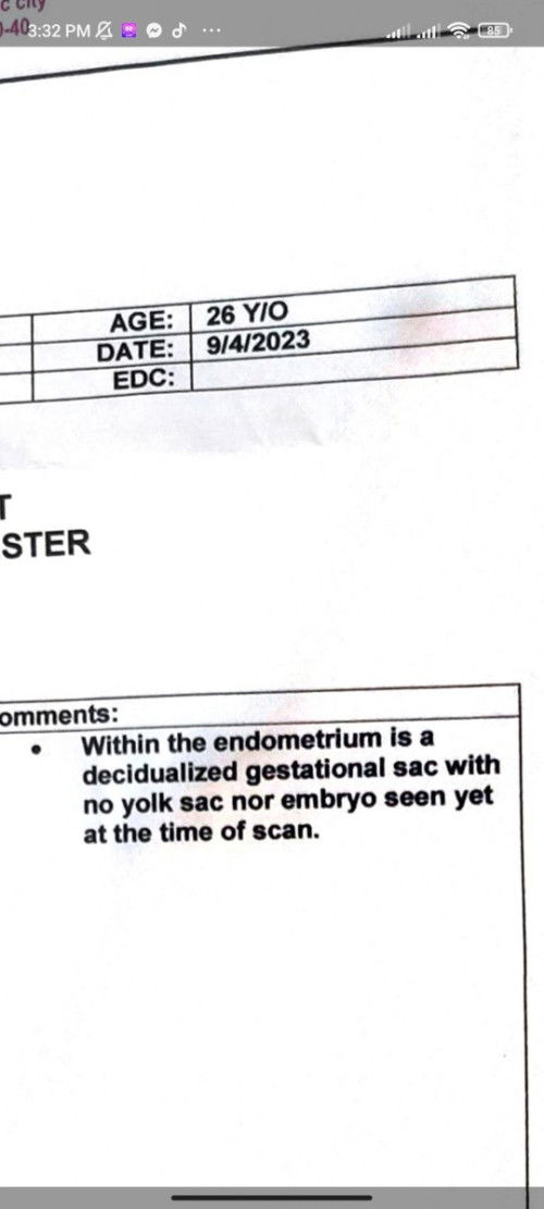 No Embreyo No Heart Beat