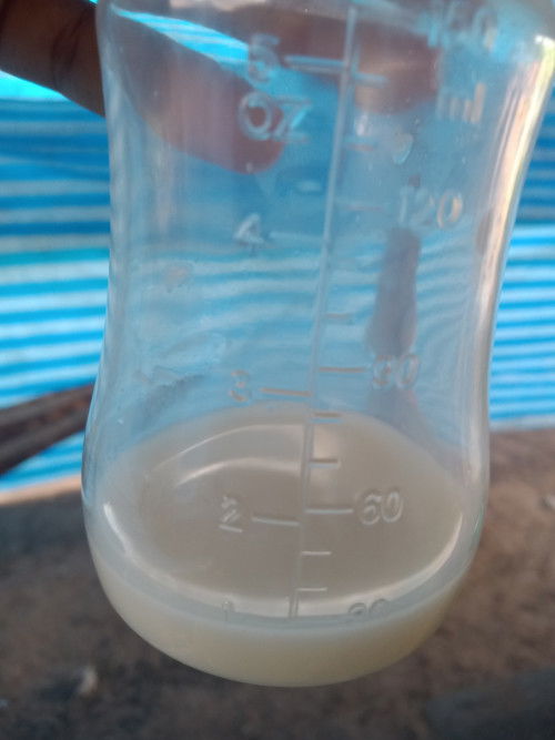 แม่ปั้มนม