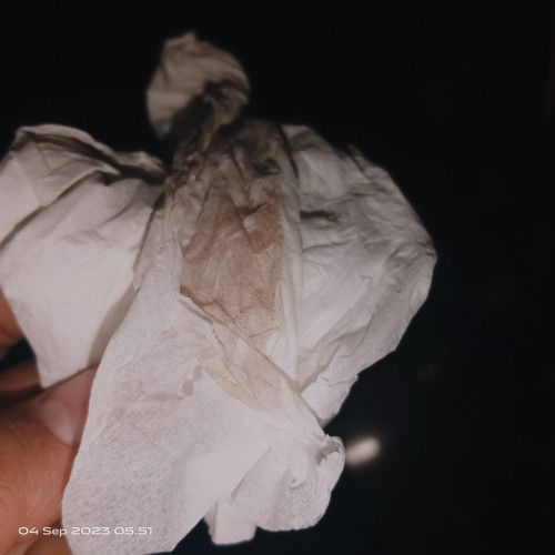 Disini ada yg 39 minggu lebih belum lounching?