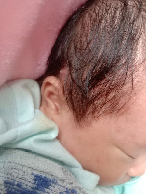 xin các mom chi bao e voi