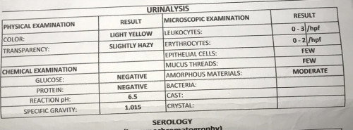 Urinalysis