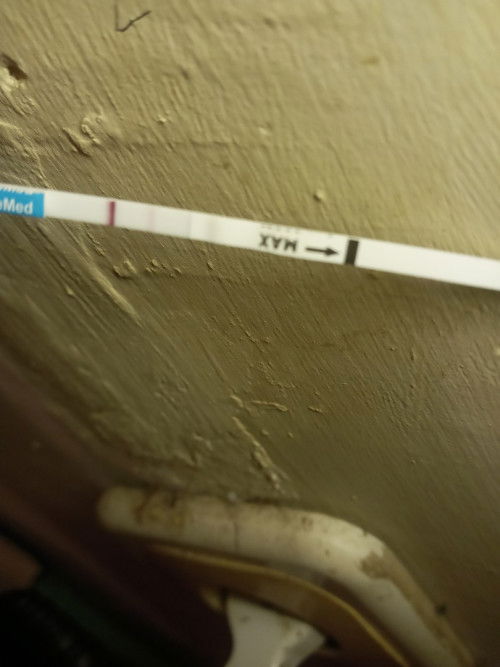 Bunda , ini bisa dikatakan positif kah ? Terakhir haid 31 juli.