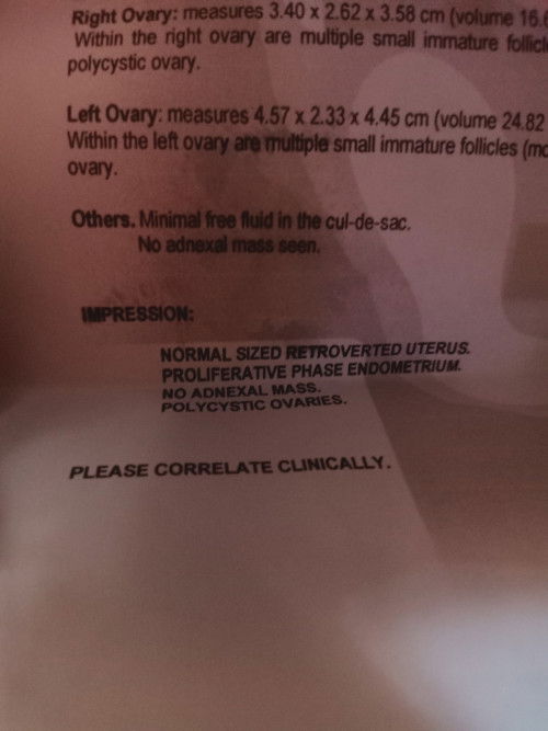 Proliferative Phase Endometrium