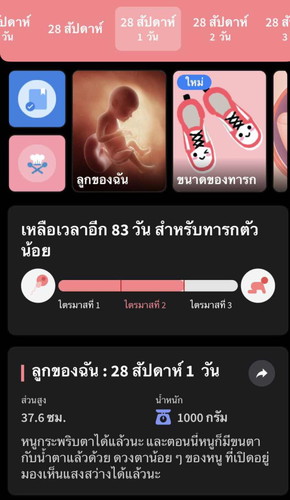อยากทราบว่า 28weekแล้ว ทำไมในแอปยังเป็นไตรมาส2อยู่คะ