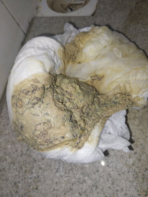 Pup anak 1thn 6bulan