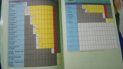 Kesehatan anak, imunisasi bund apa ibu ibu di sini yang 10 sama 12 bulan pada di imunisasi anak nya