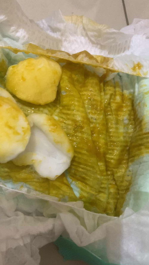 Pup bayi 2 bulan kuning dan berlendir