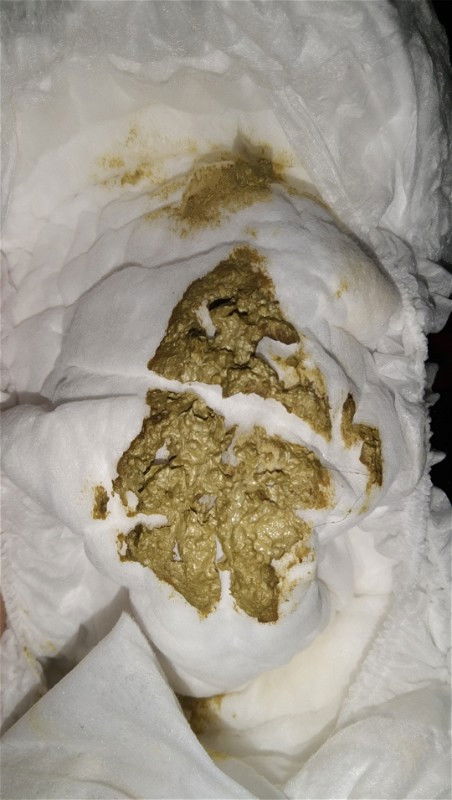 pup bayi berwarna hijau