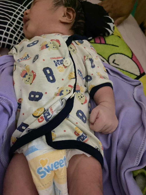 Hpl 3 september launching 9 september