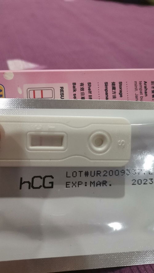 Dapat tahu pregnant melalui UPT expired