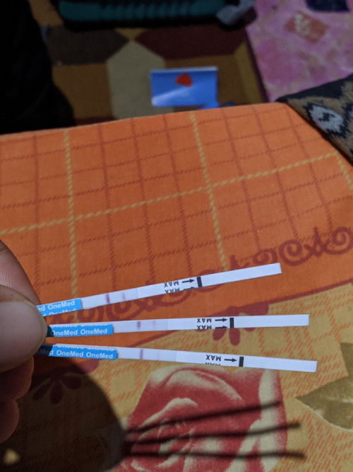 Tidak ada tanda Hamil