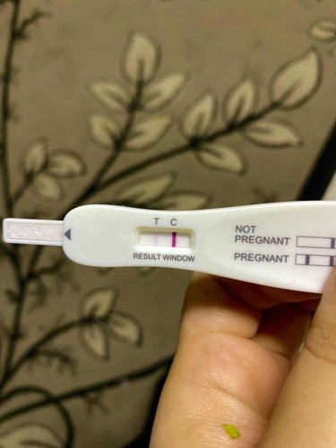 Pregnant or Tak