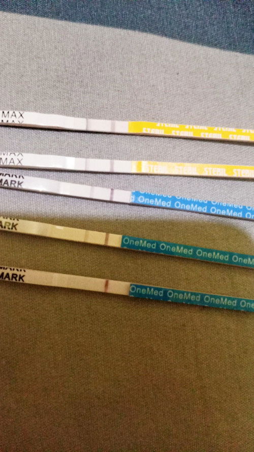 Bingung hamil atau tidak