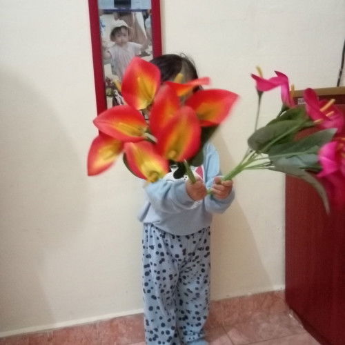 BB seret anak 2 tahun