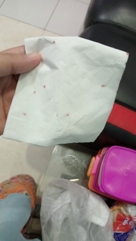 Hari ke 22 berpantang