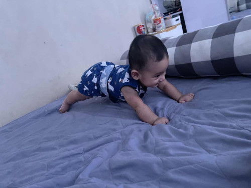 bayi 6 bulan udah mau merangkak