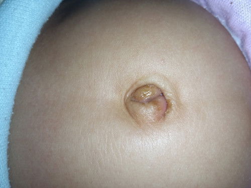 Mohon bantu jawab bunda" Disini