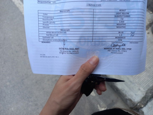 Urinalysis result