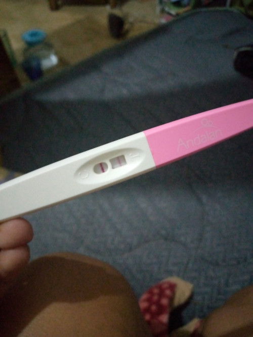 Apa ini hamil?tapi saya gak ada keluar implantasi bun