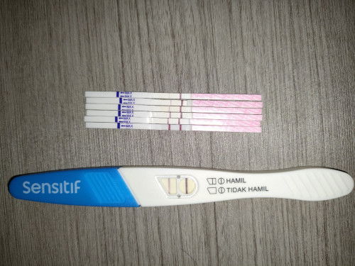 HPHT 11 Agustus, masih bingung mau usg takut kaya kemarin kata bidan belum pasti positif.