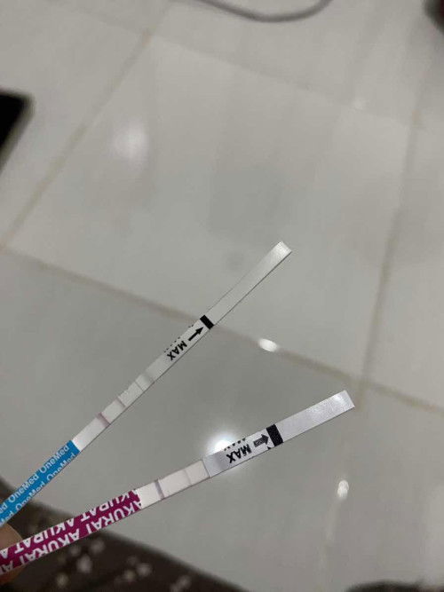 Seing Mual di terimester 1