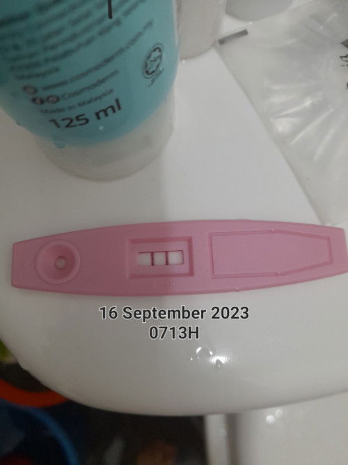 Pregnancy Test