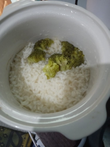 Takaran sayur utk bayi 10 bulan