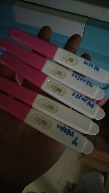 ที่ตรวจครรภ์