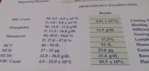 High WBC at neutrophils
