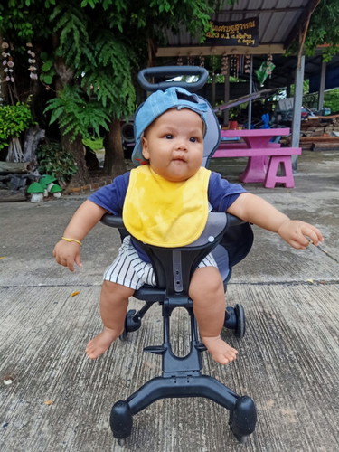 ขอดูทีม พ.ค หย่อยครับ