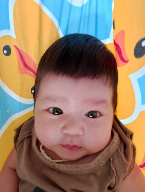 Post reply image