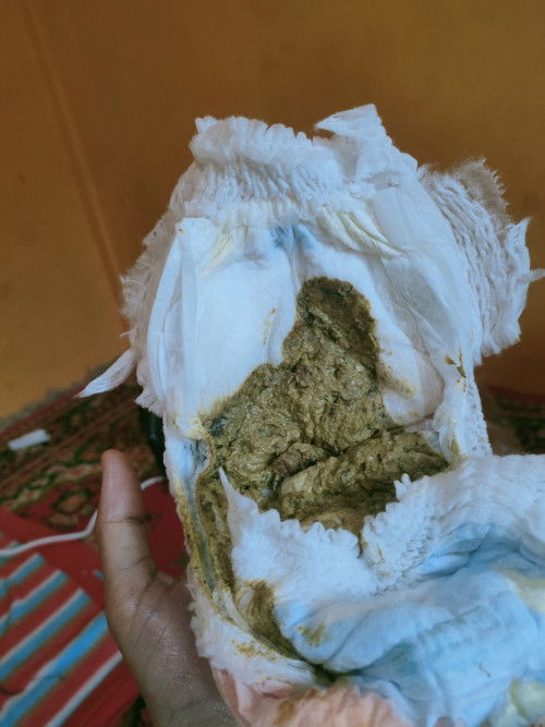 Bab bayi umur 8 stengah bulan