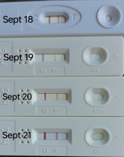 Positive Pt ,no symptoms