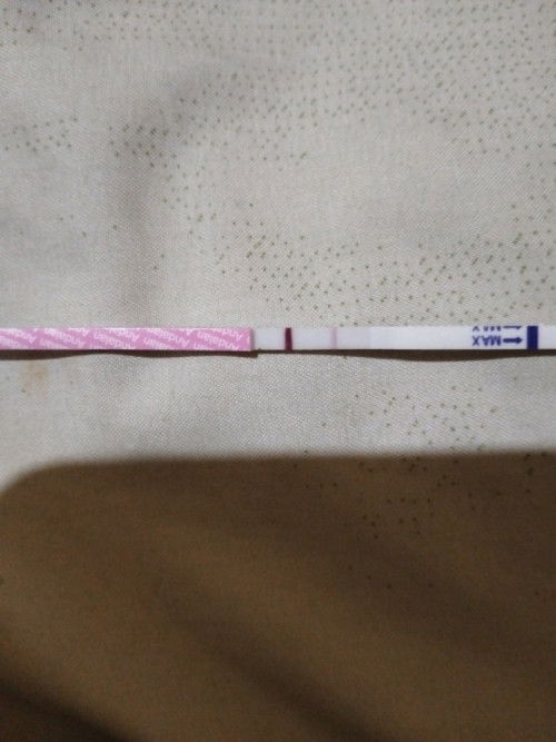 Tanya bun. Bantu jawab ya