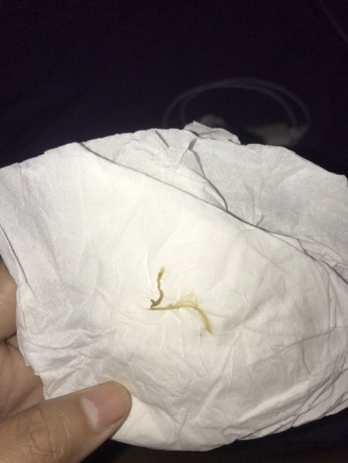 Bantu jawab ya bun 🙏🏻