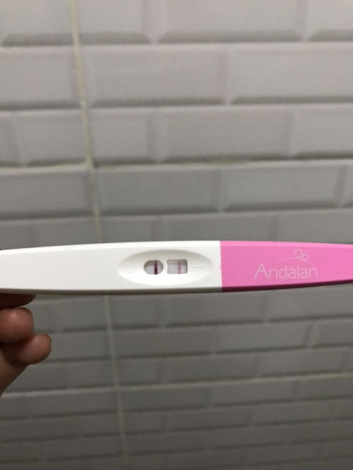 Blm telat haid tapi sudah positif