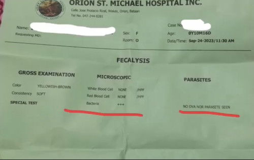 Hello mga mums meron po ba marunong magbasa ng laboratory test dto? Ano pong ibig sabihin ng mga to?