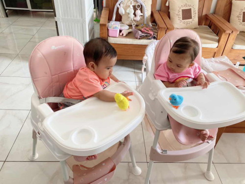 Bayi Kembar