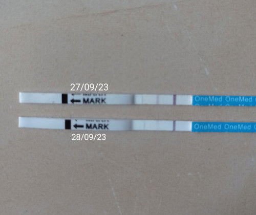 Bingung TP positif atau negatif.. Atau malah eror TPnya. 
Besok subuhmau coba TP lagi dgn merk lain