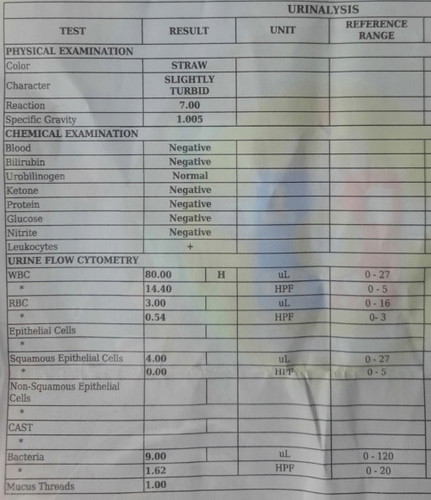 Urinalysis
