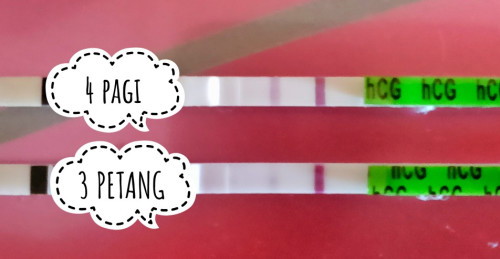 PINJAM MATA