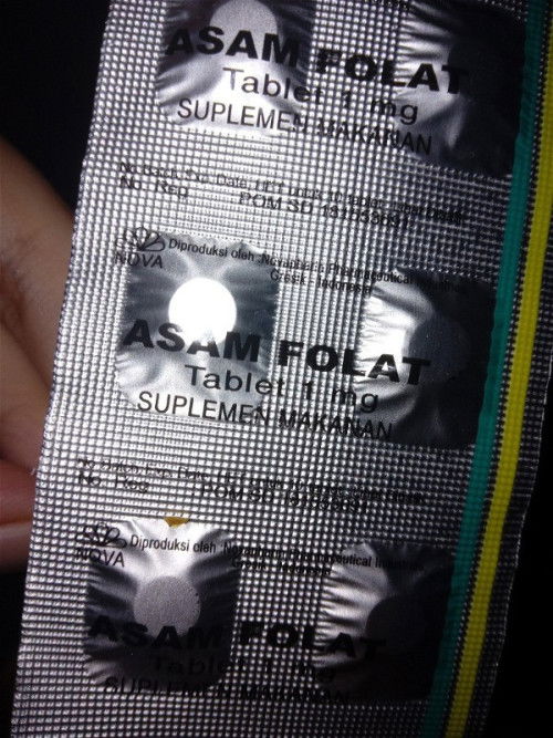 Asam folat bumil tm2