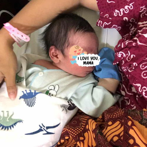 HPL 10 oktober launching 30 september